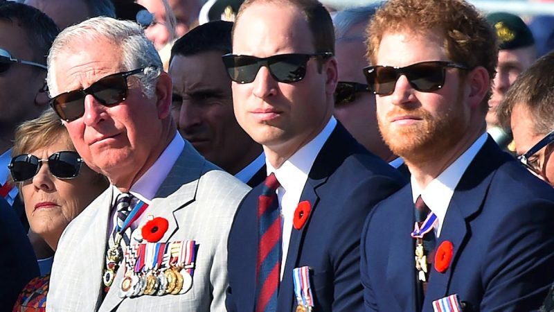 Tensions au sein de la famille royale britannique : le prince William réagit à la réconciliation entre Harry et Charles III