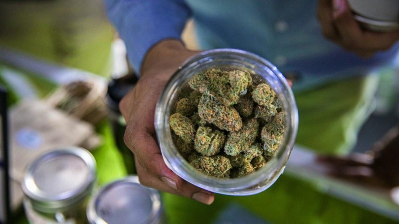 Le CERN vise à convertir la roche excavée en terre fertile pour le futur accélérateur FCC