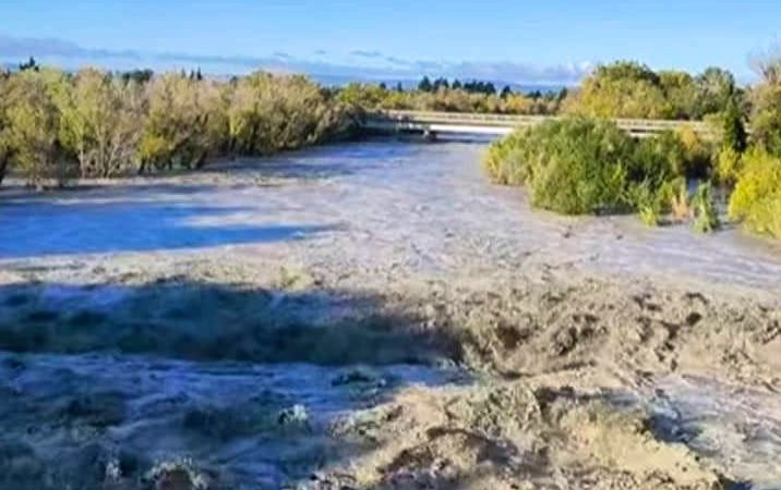 Berolle : conflit de voisinage autour d’un chat et peines avec sursis prononcées par le Tribunal de police de Nyon (VD)