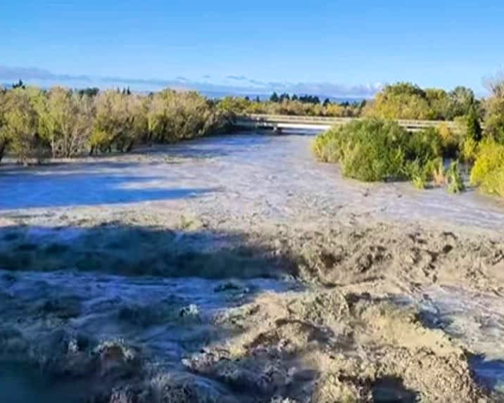 Berolle : conflit de voisinage autour d’un chat et peines avec sursis prononcées par le Tribunal de police de Nyon (VD)