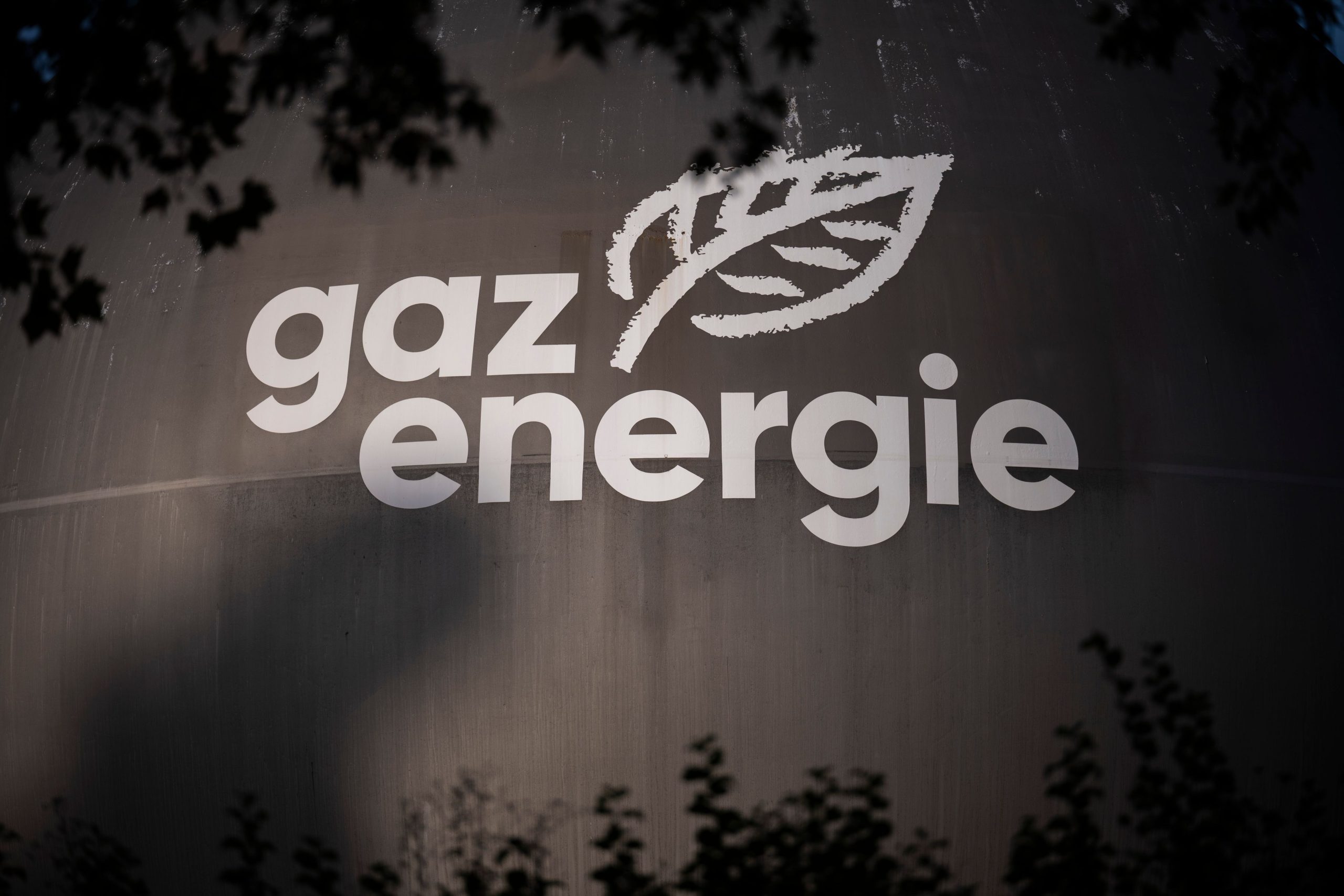 Les troubles neurologiques, largement sous-estimés, touchent près de 3 milliards de personnes