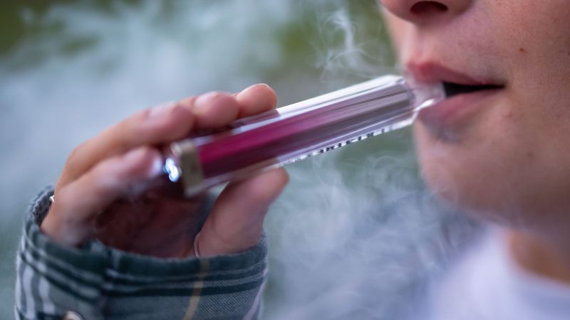 COP30 : la présence de Syngenta et de l’Usam dans la délégation suisse suscite des critiques et des appels à la transparence