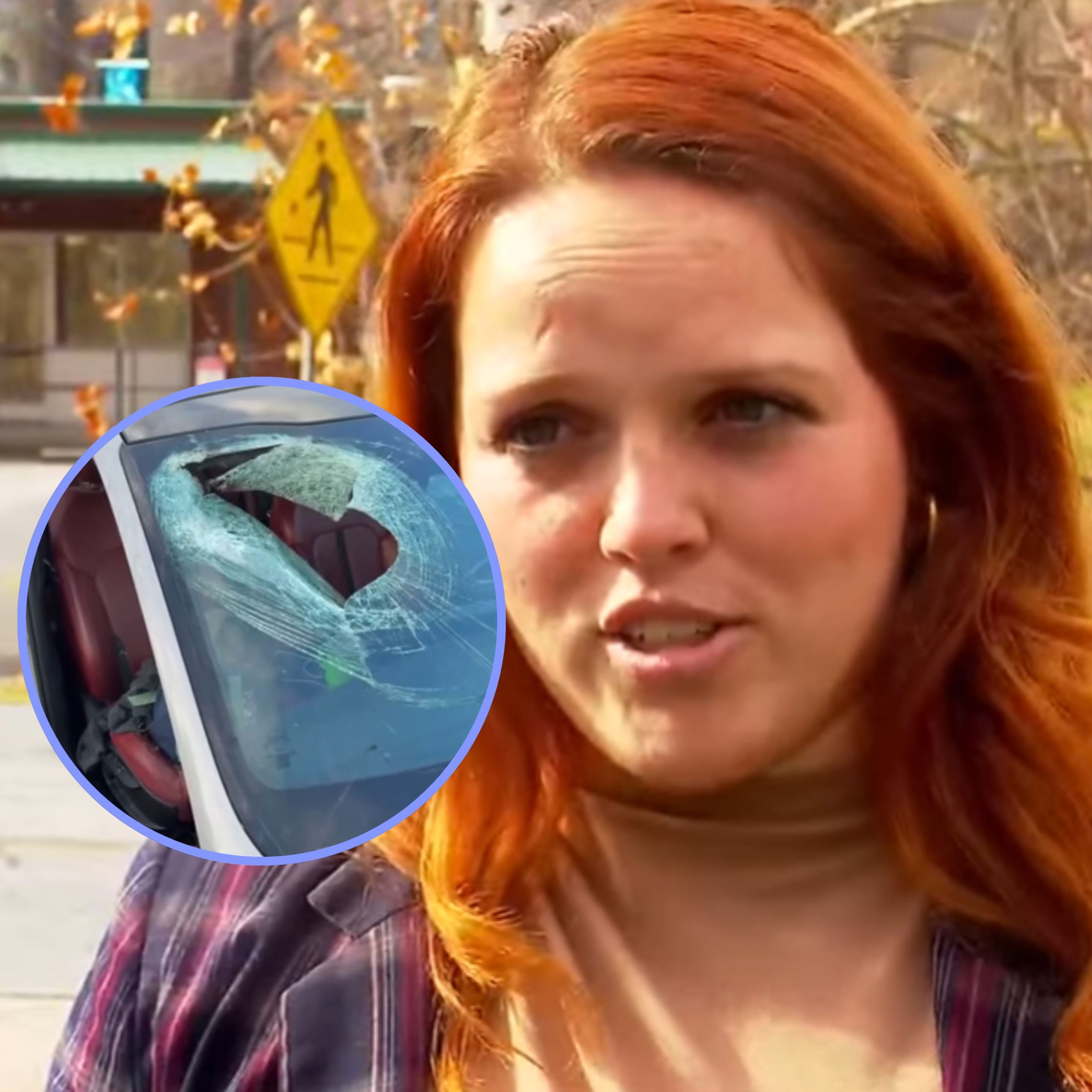 Caroline du Nord : un pygargue à tête blanche lâche un chat sur le pare-brise d’une conductrice